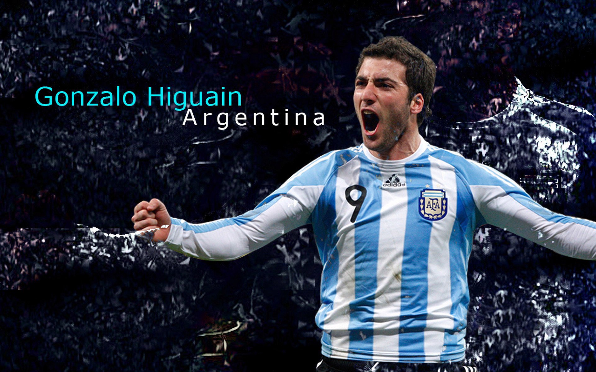 NBA最值得回味的球迷口号，nba球迷喊什么